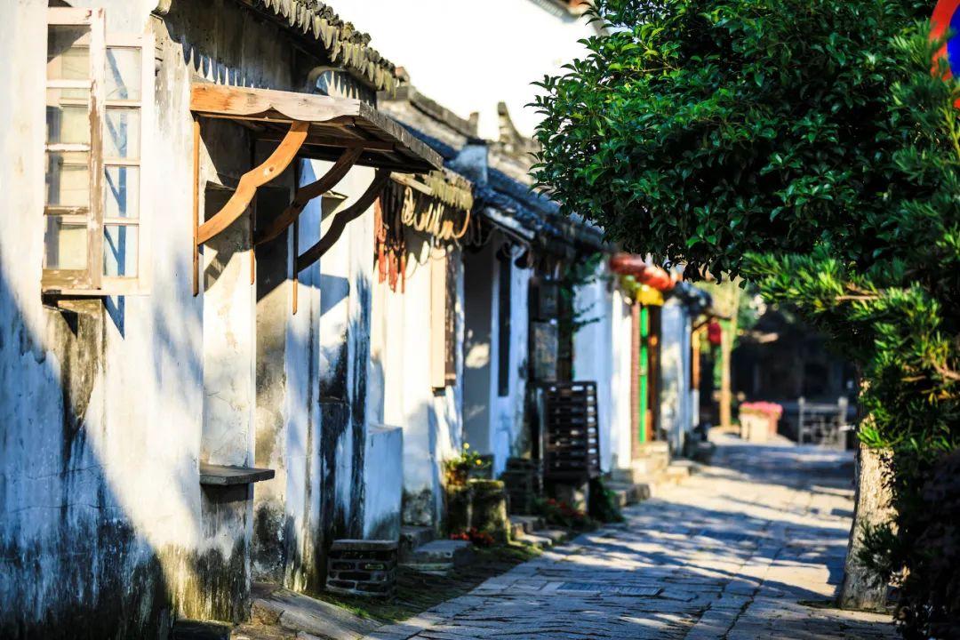 水果时尚风格